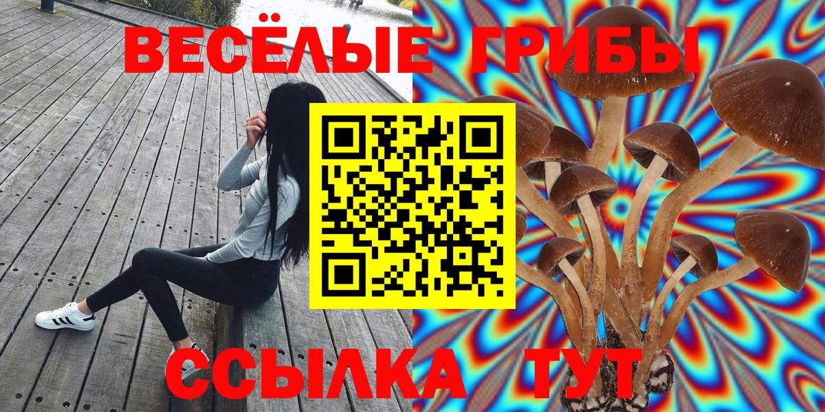 Галлюциногенные грибы MAGIC MUSHROOMS  Вход с VPN  Артём 